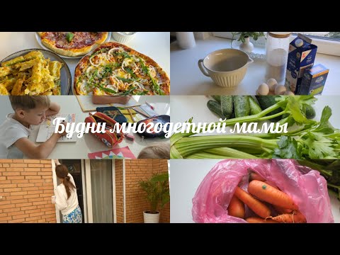Видео: Влог из Германии:Мухи больше не залетают в дом✅🏡 Будни многодетной мамы