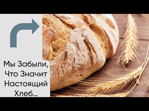 Видео: Тайна хлеба. Почему без него человек теряет душу?
