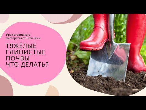 Видео: 666. Тяжёлые глинистые почвы. Как их поправить?