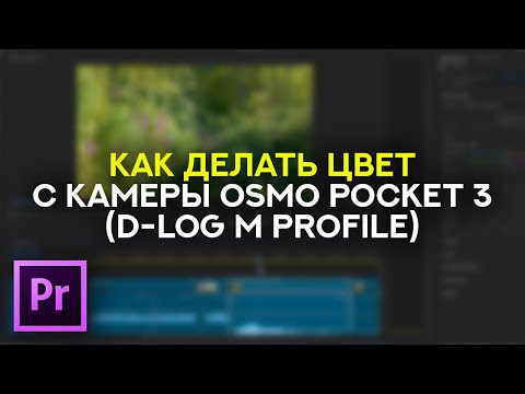 Видео: Как делать цвет с камеры Osmo Pocket 3 (D-Log M Profile)