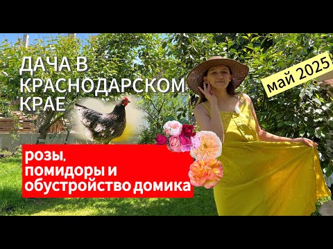 Видео: ДАЧА В МАЕ 2025 - ЦВЕТЫ, ОВОЩИ, КЛУБНИЧКА И ОБУСТРОЙСТВО ДОМИКА!