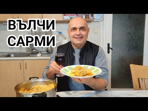 Видео: Вълчи сарми! Как да си ги приготвите у дома! Зимно кулинарно изкушение наслада за небцето!