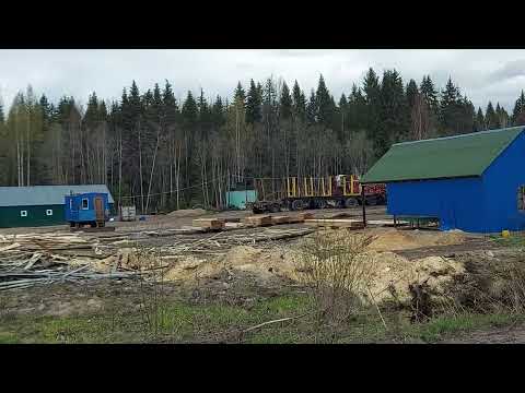 Видео: Прогулка по деревне 🏡🏠 Леса Ленинградской области 🌲🌲🌲