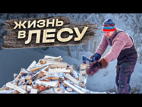 Видео: Промысел в суровой тайге и ледяная Ловушка...