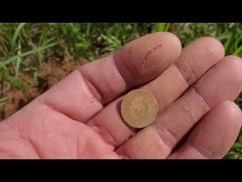 Видео: Копаем в первый раз: Vanquish 540