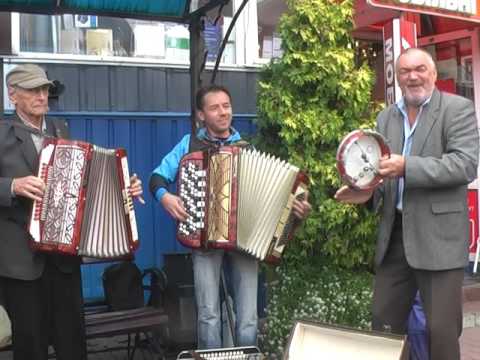 Видео: Цвіте черемшина з бубном