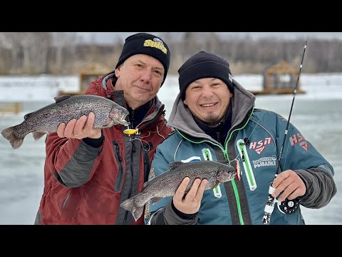 Видео: Лед, форель, Bay Blue. Зимняя ловля прудовой форели на ратлины.