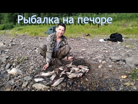 Видео: Супер Рыбалка на Печоре.Июль/Рыбалка Севера.