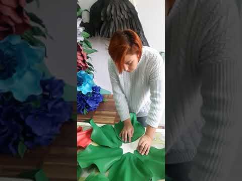 Видео: МК Пуансеттия