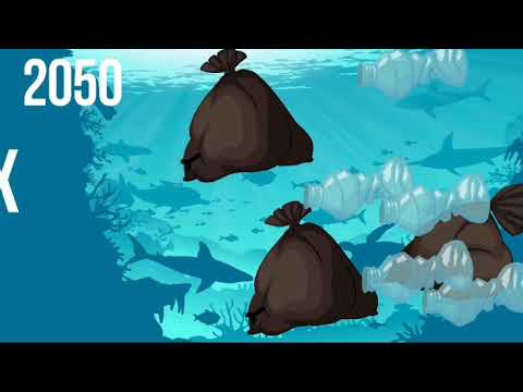 Видео: " Табиғатты аяла ", Номинация: Экоблогер, Социальный видеоролик