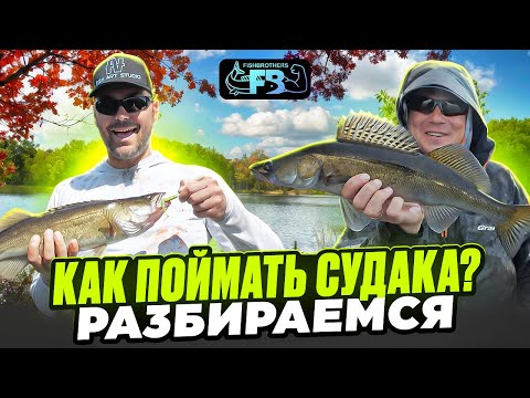 Видео: Как поймать судака на джиг?  Снасти, приманки.