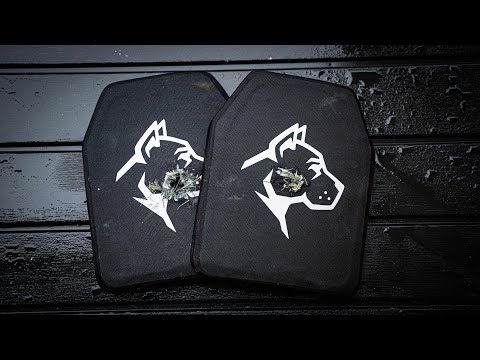 Видео: 277FURY и 6.8x51 против бронепластин уровня IV