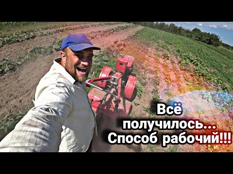 Видео: Химии не нужно и сорняка больше не будет // Спас поле от бурьяна и получил отличный урожай.