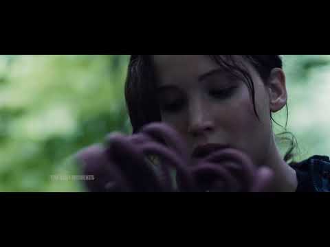 Видео: Начало турнира  Голодные игры