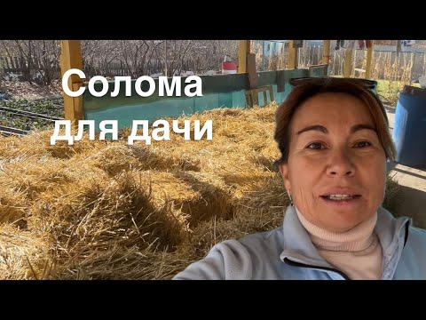 Видео: Как спасти урожай от вымерзания! Солома- укрывной материал!