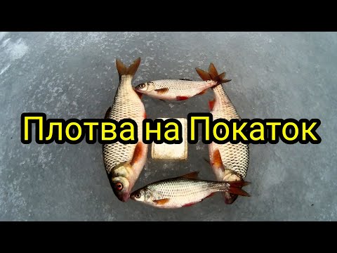 Видео: ЗИМНЯЯ рыбалка на ПОКАТОК 2021г!река ДОН!