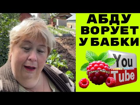 Видео: Ольга Уралочка /Абду ворует  у бабки /Обзор /Ольга Уралочка live 
