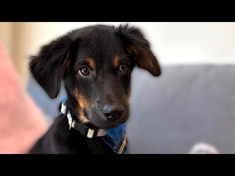 Видео: Сальвадор, марафон и чудо для Стормзи