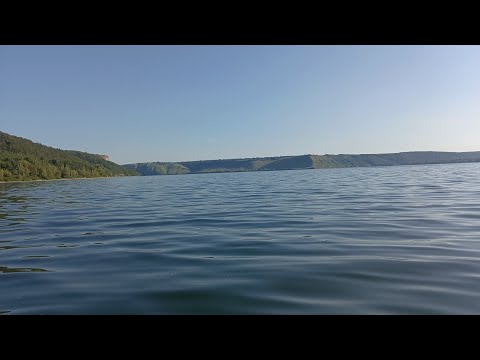 Видео: р.Дністер затока Бакота. Сома піймано!🐟👍