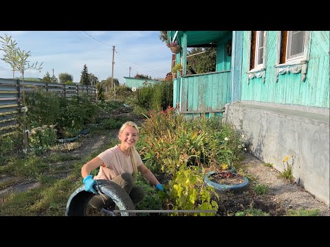 Видео: ПЕРВЫЕ ОСЕННИЕ ДНИ В ДЕРЕВНЕ/ПОСАДИЛА КЛУБНИКУ/ВЯЛЮ ПОМИДОРЫ/ГОЛУБЦЫ В ЛИСТЬЯХ МАНГОЛЬДА