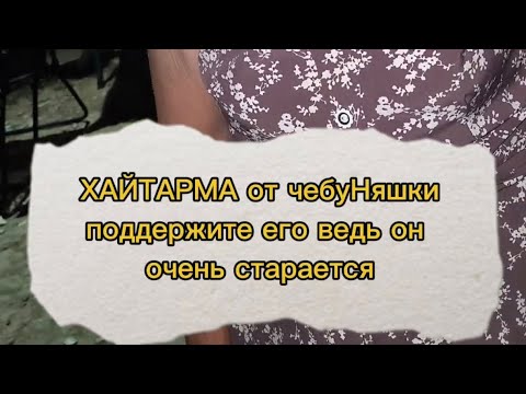 Видео: хайтарма от пушистого друга #мишка #пандапоздравления #хайтарма