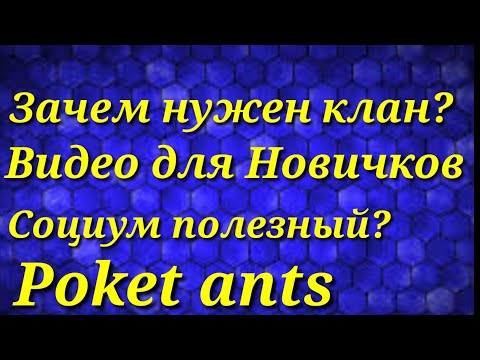 Видео: Зачем нужен социум-клан в покет антс