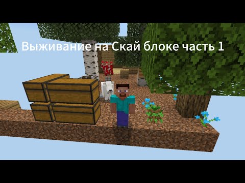 Видео: Выживаю на Скай блоке😃