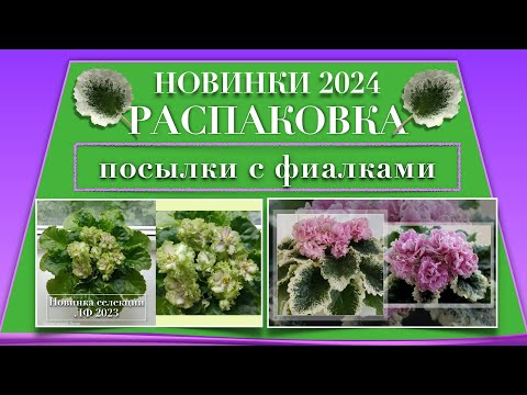 Видео: Чем пополнила коллекцию 2 раз в этом году | ЛФ-Авокадо | Новинки | Распаковка и болталка.