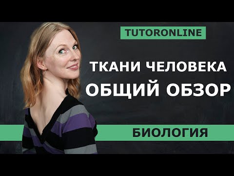 Видео: Ткани человека. Полный обзор 8 класса | Биология TutorOnline