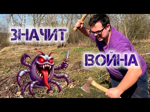Видео: Как избавиться от клещей | Обработка участка от вредителей