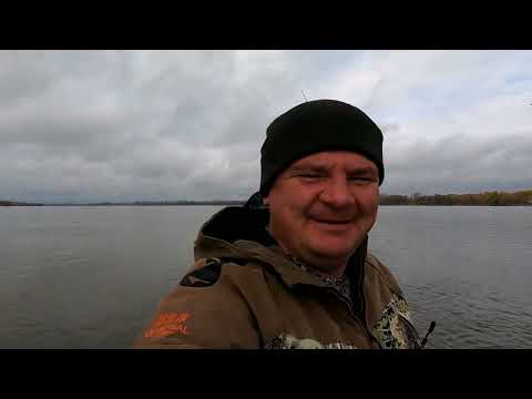 Видео: Щука поздней осенью жрет нереально.