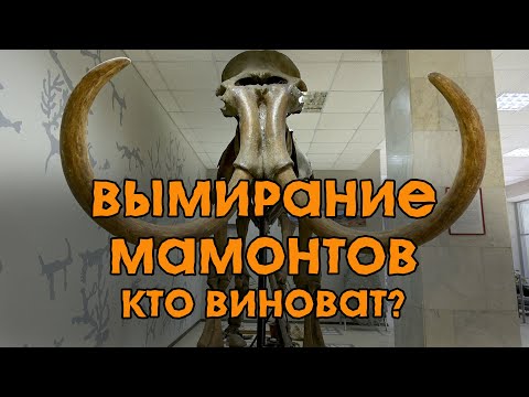 Видео: Причины вымирания мамонтов. Кто виноват?
