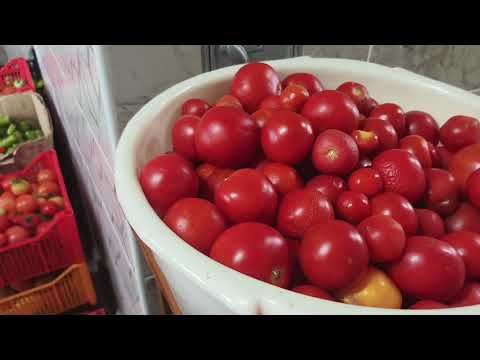 Видео: Топлю печь , собираю огурцы после заморозка .