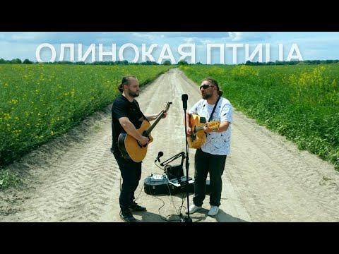 Видео: Одинокая птица -  Наутилус Помпилиус / Гитарин / Unplugged