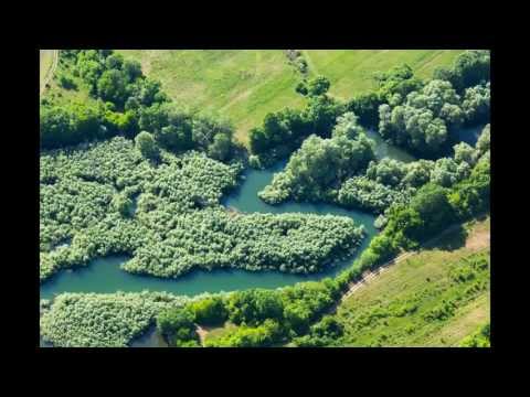 Видео: Облаче ле бяло