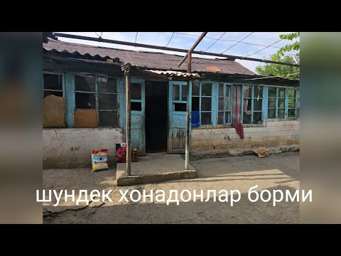 Видео: Арафалик таратылди / Араван"Хадия