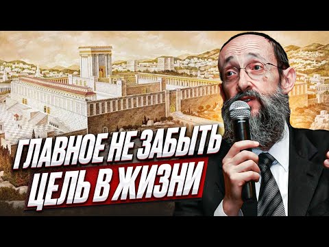 Видео: Главное не забыть цель в жизни. Рав Ашер Кушнир