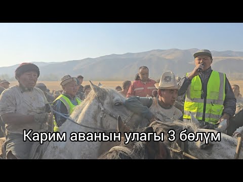Видео: Карим аванын улагы 28 октября 2025  #horse Карим ава кылган эхсандарыңыз кабыл болсун