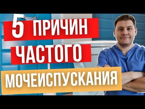 Видео: Учащенное мочеиспускание. Что может быть?
