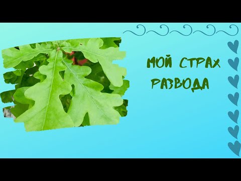 Видео: Что Я Чувствую Спустя Два Года После Развода