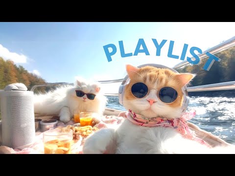 Видео: Playlist🎧 Хорошее настроение поп💿 | chill & groove для кафе/работы | уютная атмосфера | lemozzi🍋
