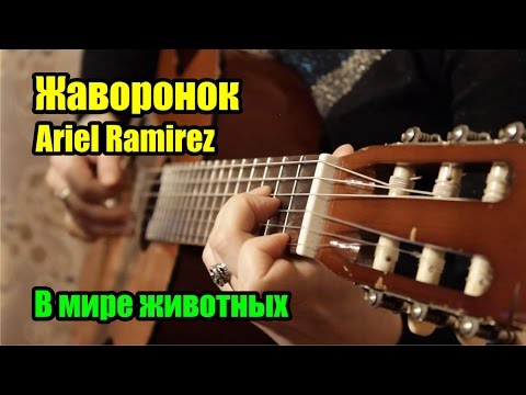 Видео: Жаворонок (В мире животных) -  Ariel Ramirez - la peregrinación | На гитаре + разбор