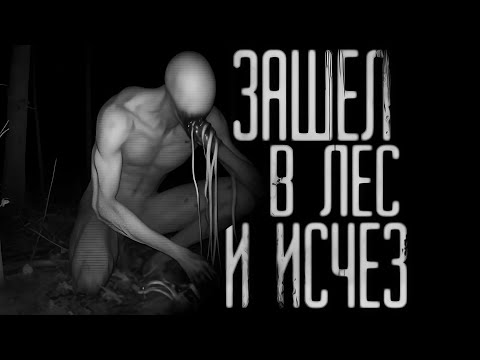 Видео: ЗАШЕЛ В ЛЕС И ИСЧЕЗ... Страшные истории на ночь. Страшилки на ночь.