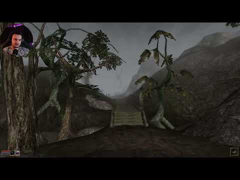 Видео: The Elder Scrolls III Morrowind часть 4
