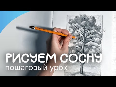Видео: Как нарисовать сосну простым карандашом | Легкий урок рисования для начинающих