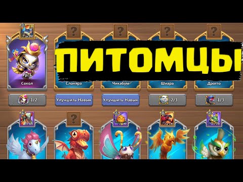 Видео: Подземелье уровня Эксперт.  Битва Замков с нуля. Новичок в Castle Clash