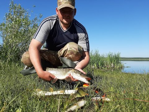 Видео: Ловля щуки на блесну. Ловля в июне. (оз. Улагач)