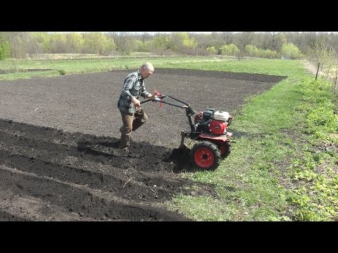 Видео: Посадка картофеля под мотоблок и маленькие советы