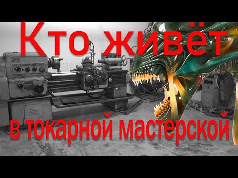 Видео: Купил новый резец. Кто живет в токарной мастерской???