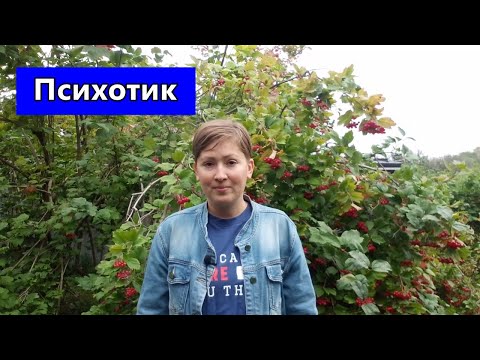 Видео: Путаница внешней и внутренней реальности у психотика. Психоанализ